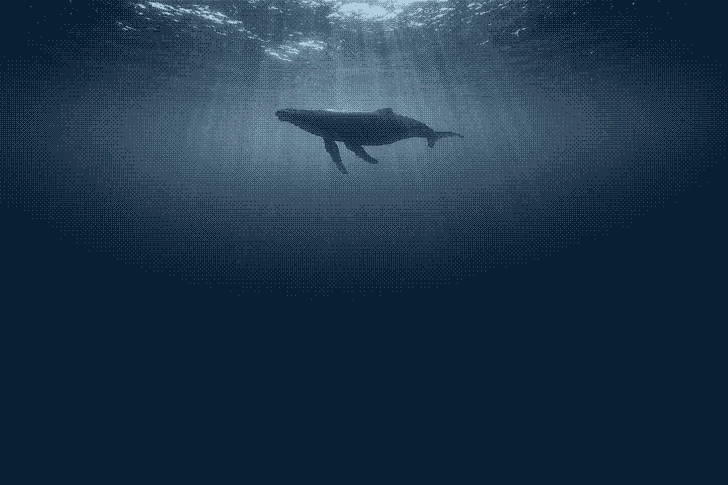 A humpback whale cruising below the surface, rendered as a one-bit dithered plate.